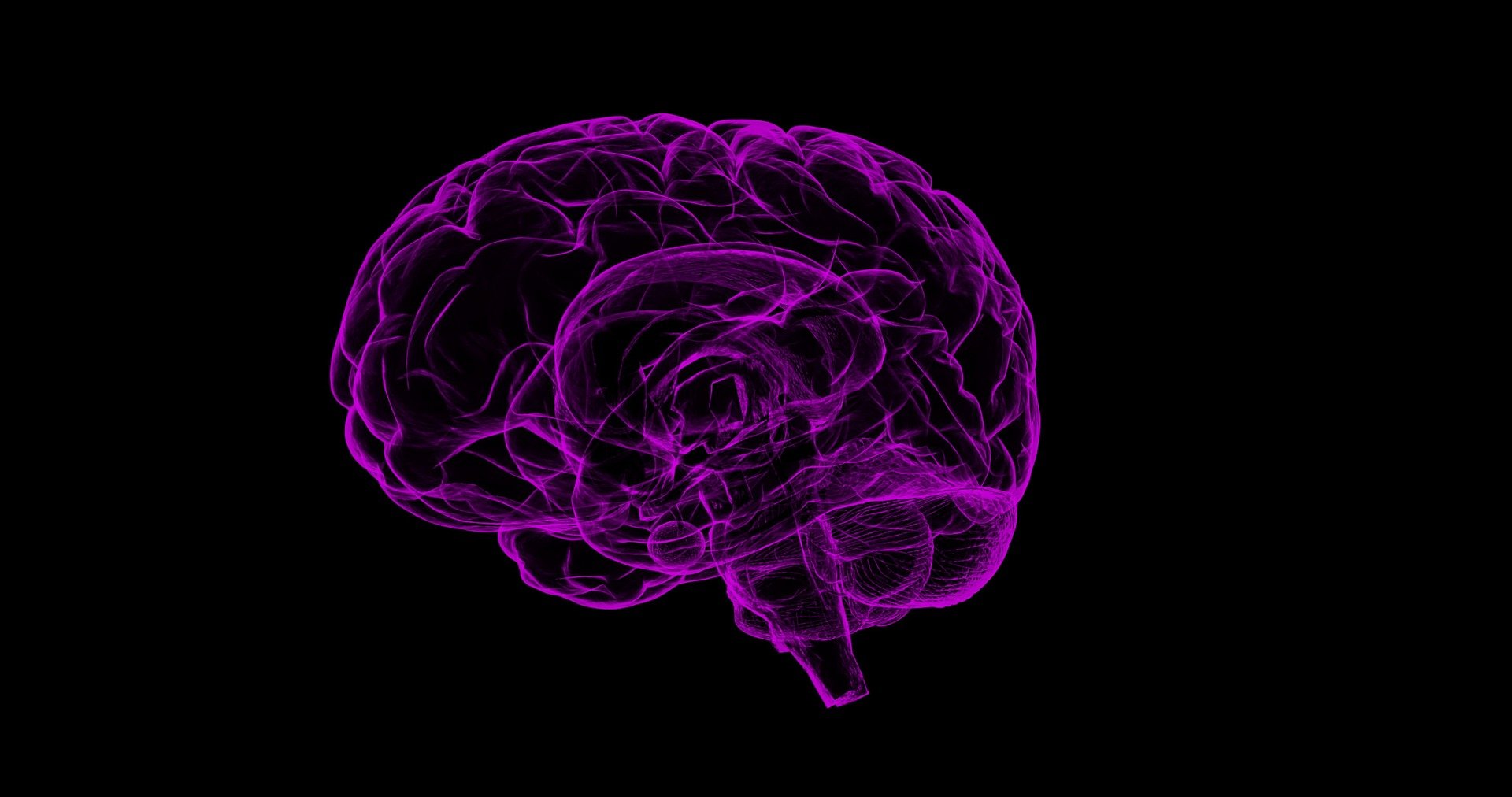 Alzheimer Nedir?